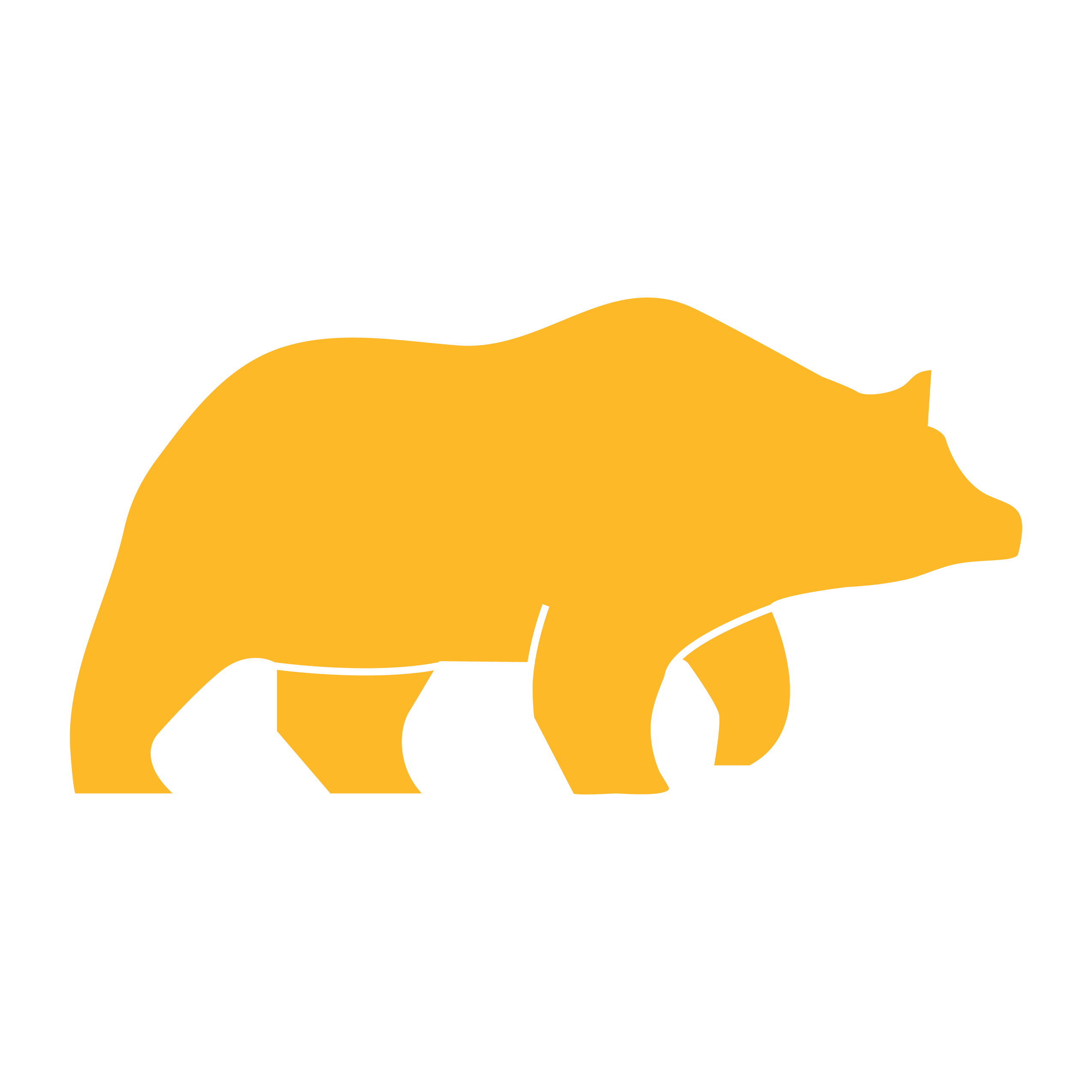 KSR Bear Logo